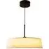 Luna LED Ceiling Light - Black, Metal