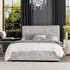 Hesper Double Ottoman Bed with Storage - Silver, Velvet