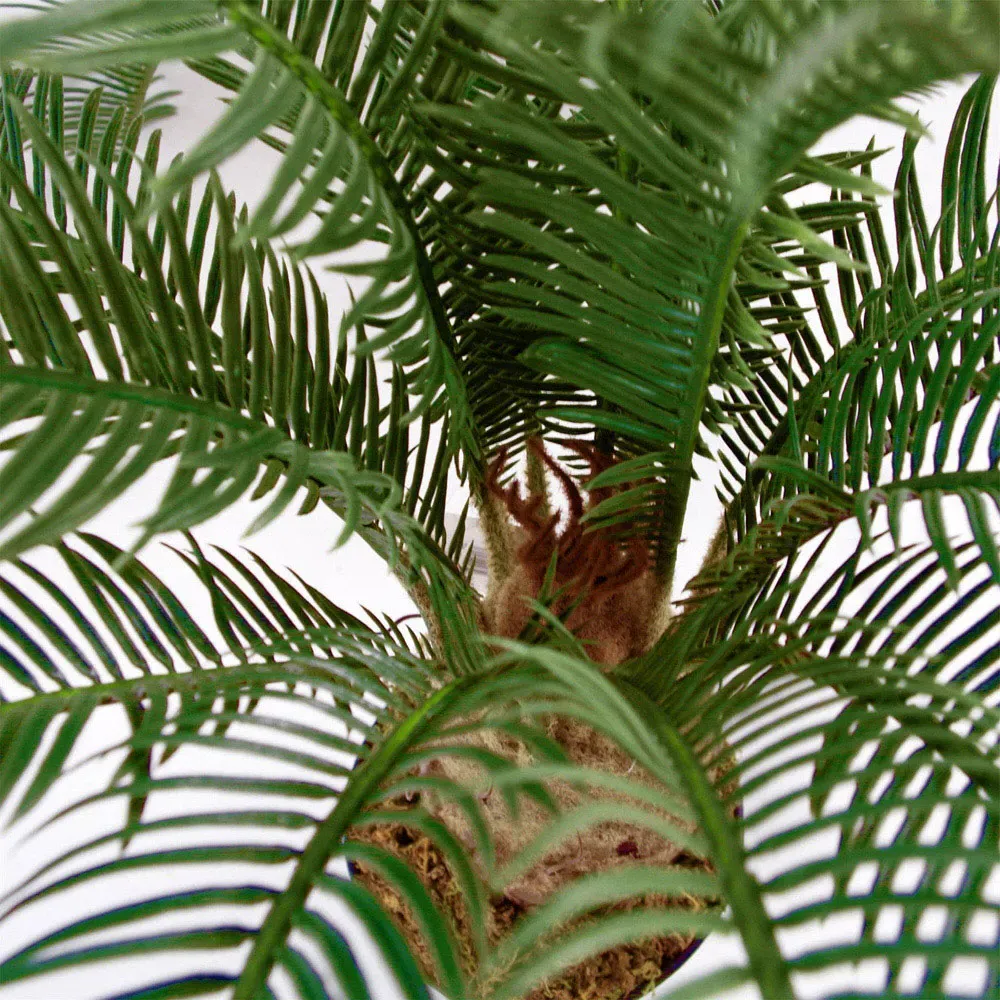 60cm Cycas Palm Artificial Tree - Green