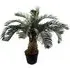60cm Cycas Palm Artificial Tree - Green