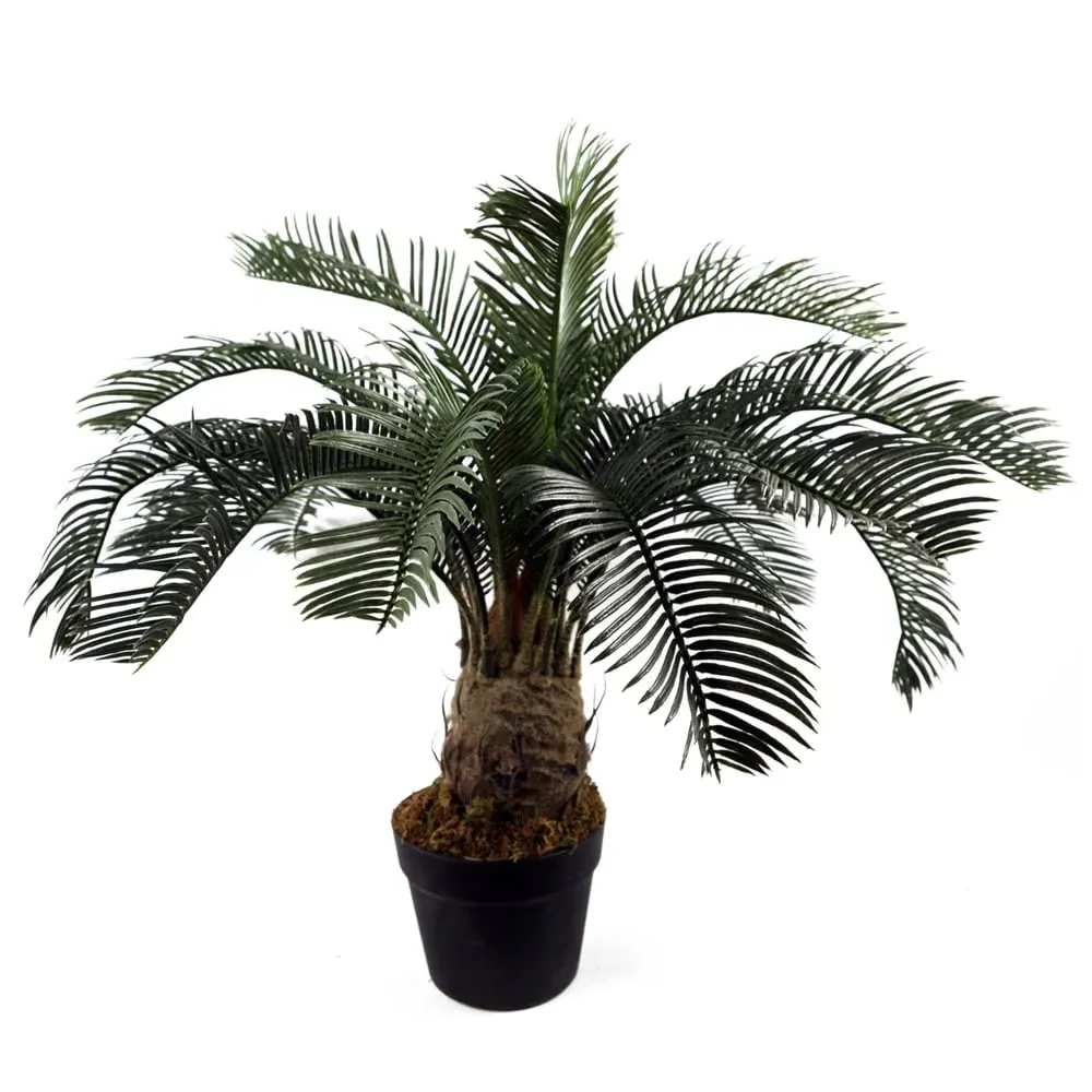 60cm Cycas Palm Artificial Tree - Green image