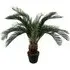 80cm Cycas Palm Artificial Tree - Green
