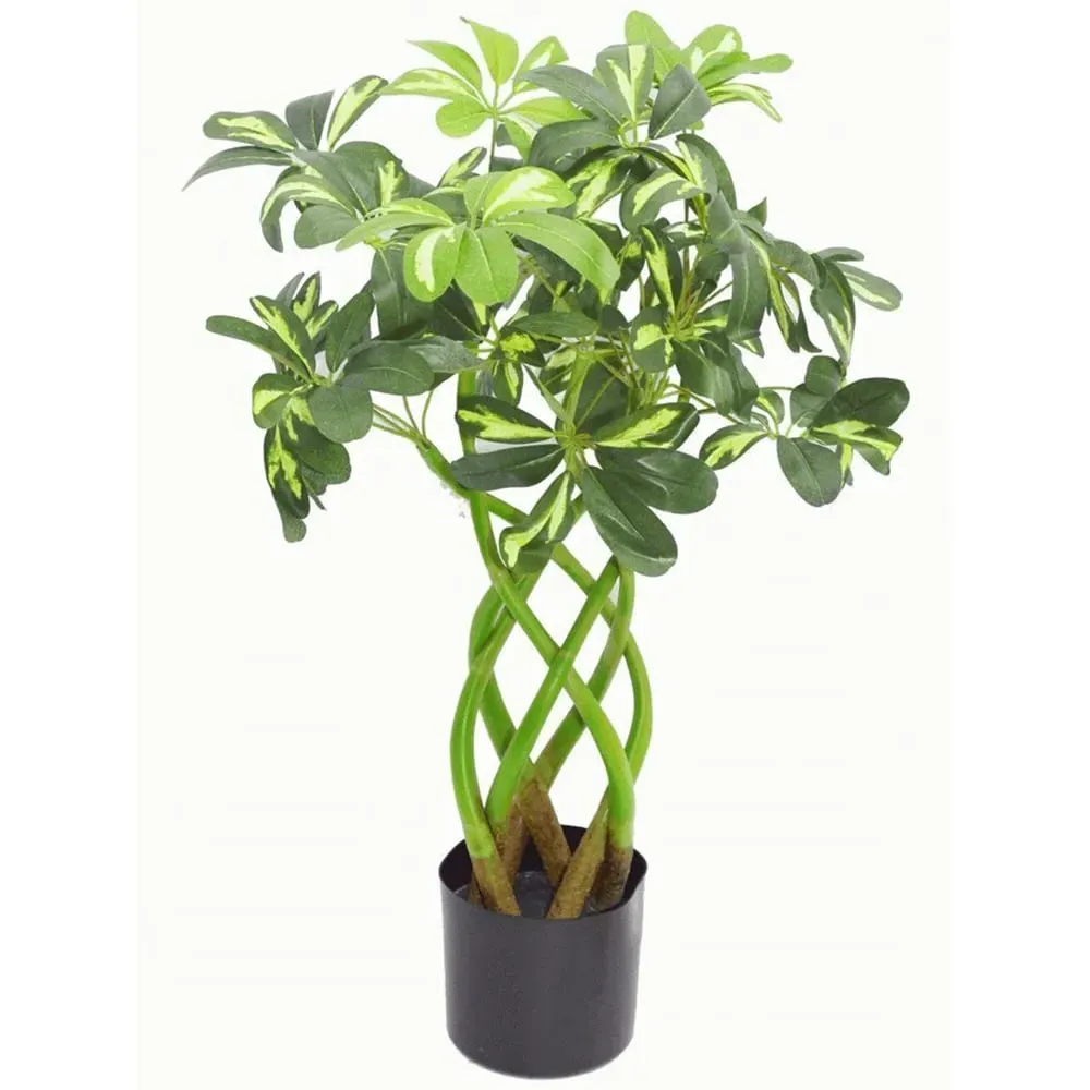 Arboricola Artificial Plant in Pot 70cm - Green