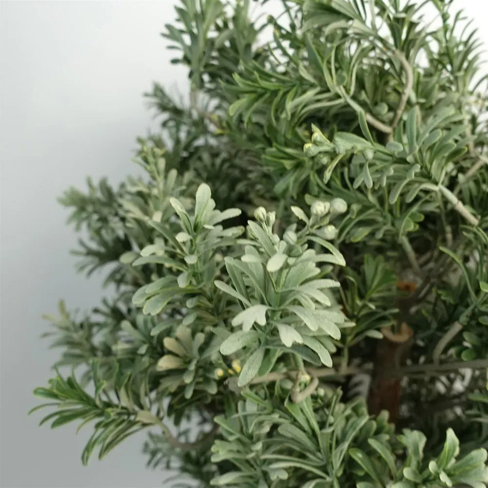 Artificial Artemisa Plant Topiary 70cm - Green