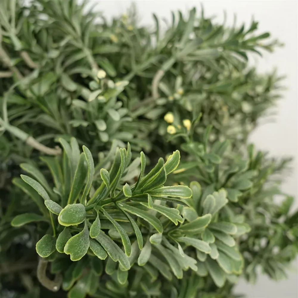 Artificial Artemisa Plant Topiary 70cm - Green