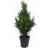 Artificial Cedar Cypress Topiary Tree 60cm - Green