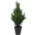 Artificial Cedar Cypress Topiary Tree 60cm - Green