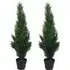 Artificial Cedar Cypress Topiary Tree 90cm 2 Pack - Green