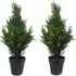 Artificial Cedar Cypress Topiary Trees 2 Pack 60cm - Green