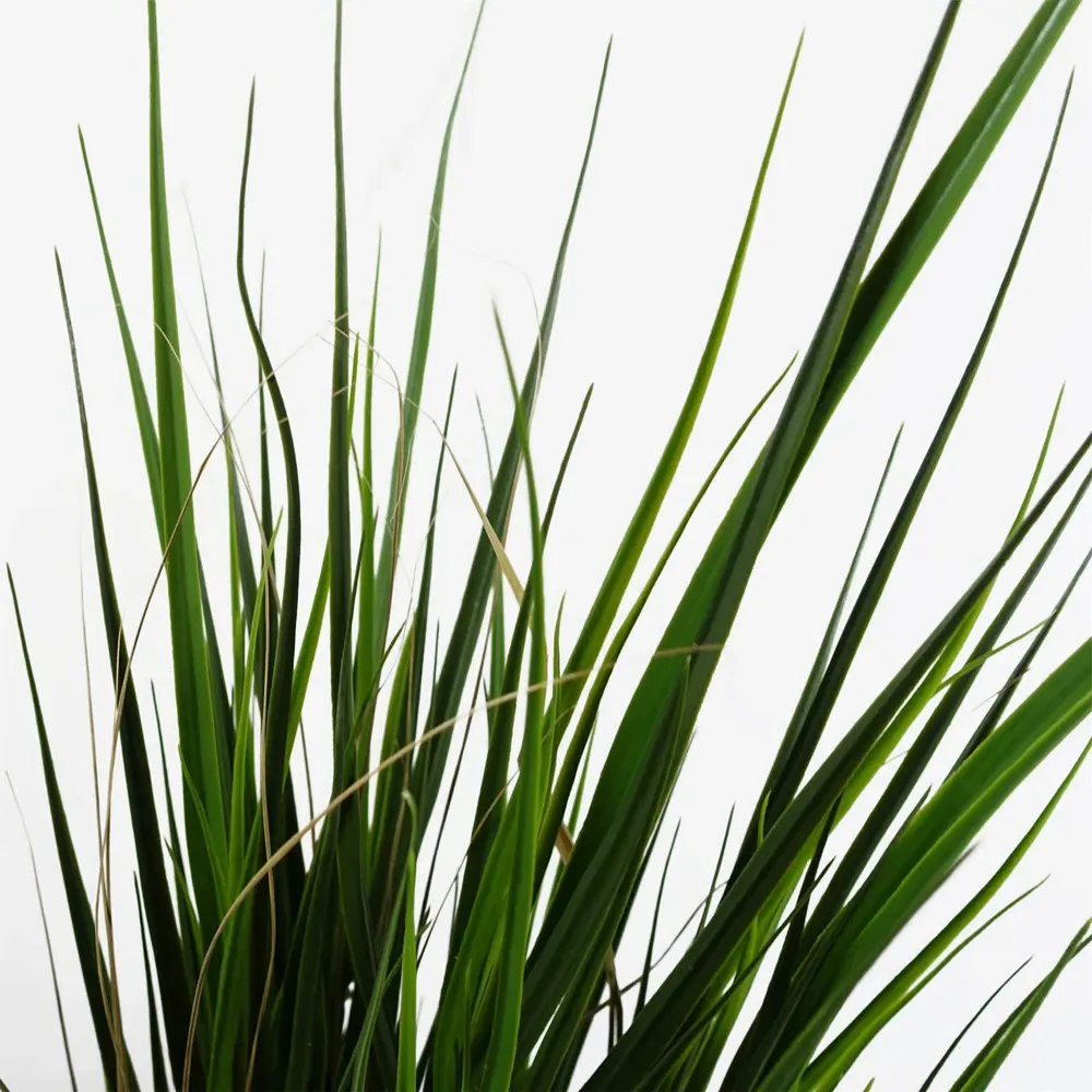 Artificial Grass in Pot 130cm - Green