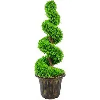 Artificial Spiral Topiary with Planter 90cm - Green