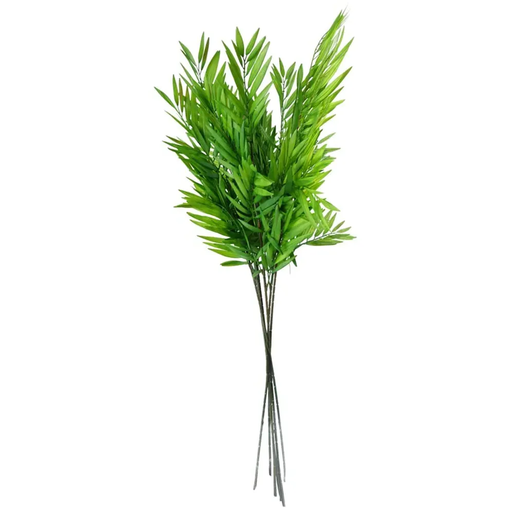 Bamboo Fern Stem 6 Pack - Green image