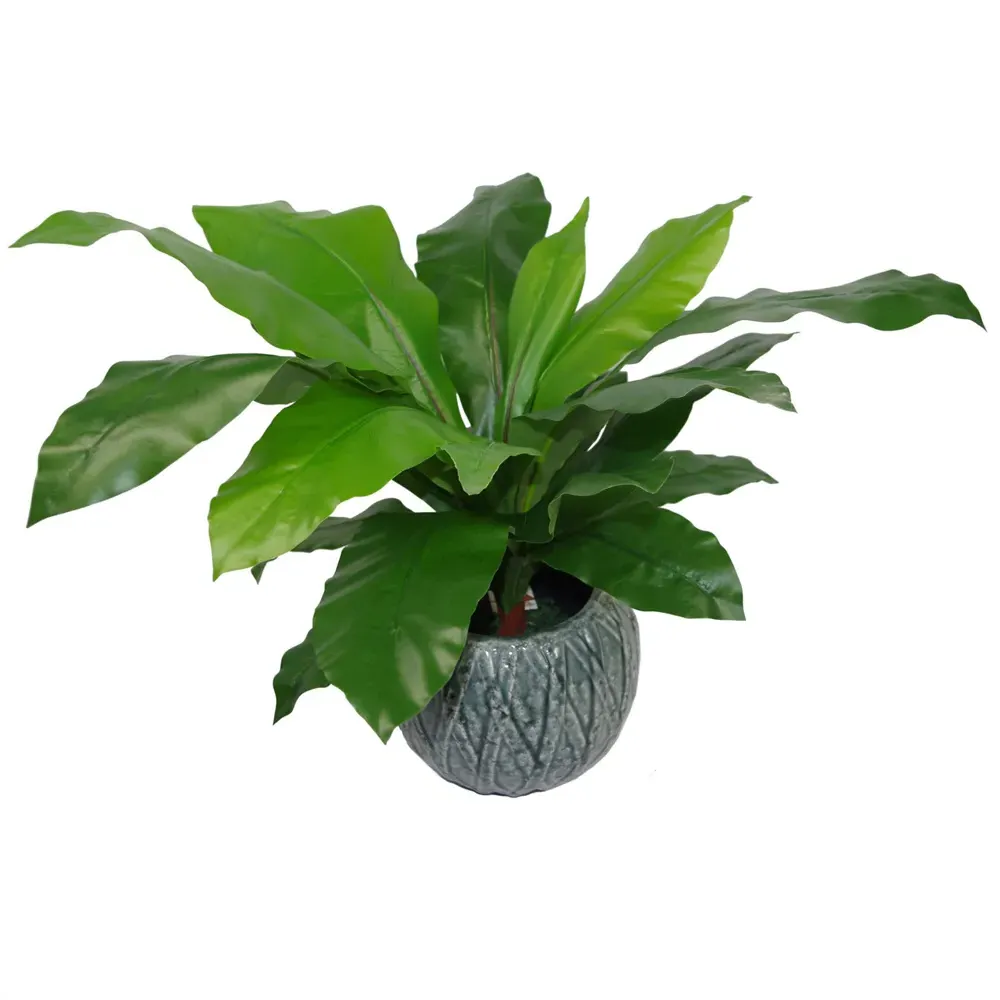 Birds Nest Fern Artificial Plant in Pot 60cm - Green