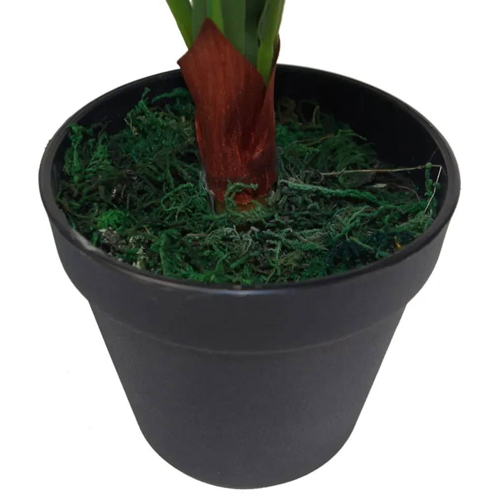 Birds Nest Fern Artificial Plant in Pot 60cm - Green