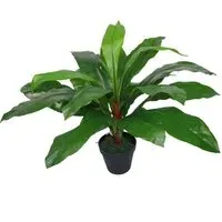 Birds Nest Fern Artificial Plant in Pot 60cm - Green