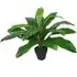Birds Nest Fern Artificial Plant in Pot 60cm - Green