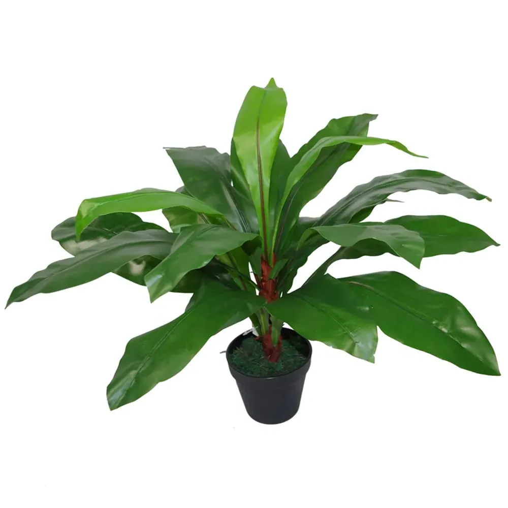 Birds Nest Fern Artificial Plant in Pot 60cm - Green image