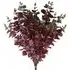 Burgundy Eucalyptus Artificial Foliage 100cm 6 Pack - Burgundy