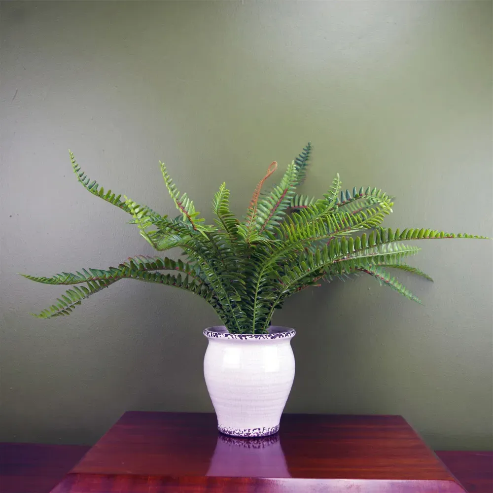 Bushy Fern Artificial Plant in Planter 40cm - Green