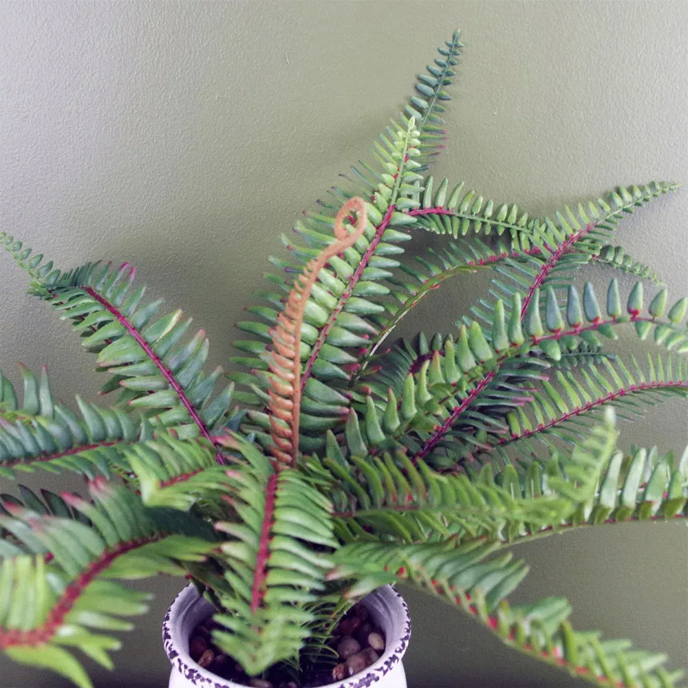 Bushy Fern Artificial Plant in Planter 40cm - Green