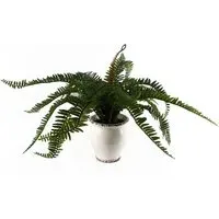 Bushy Fern Artificial Plant in Planter 40cm - Green
