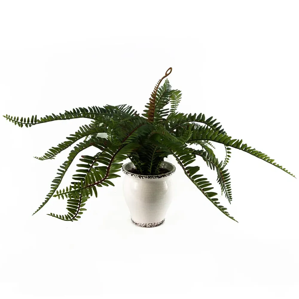 Bushy Fern Artificial Plant in Planter 40cm - Green