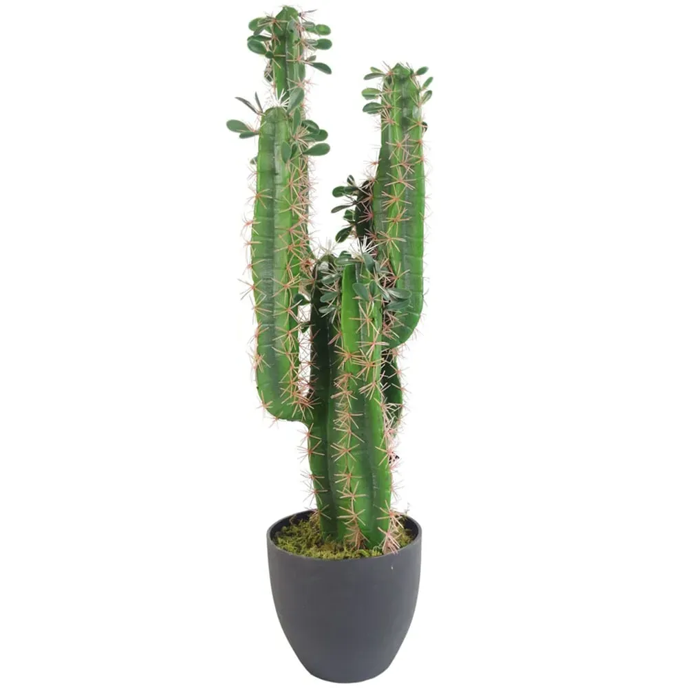 Cactus Artificial Plant in Pot 65cm - Green