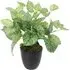 Caladium Artificial Plant Pot - Green