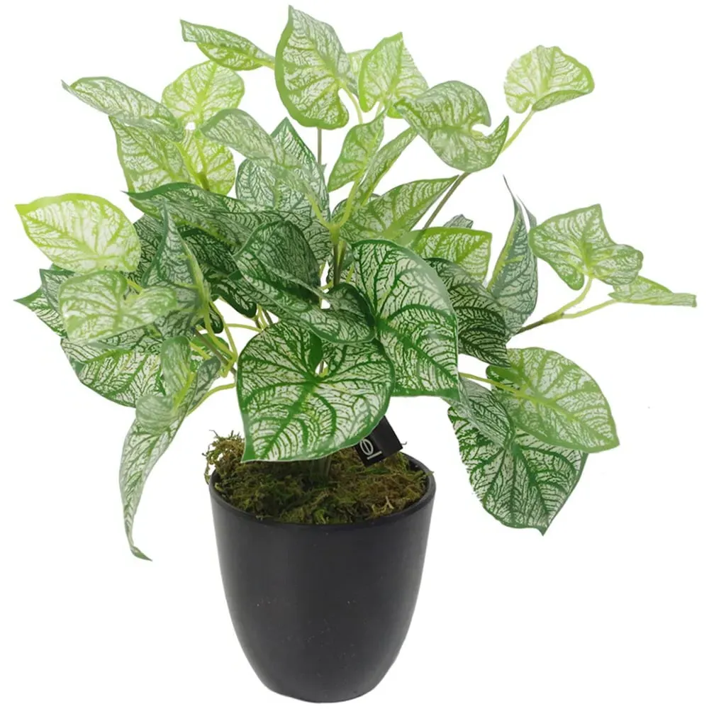 Caladium Artificial Plant Pot - Green image