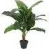 Colocasia Tropical Artificial Plant in Pot 105cm - Green