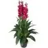 Cymbidium Orchid Artificial Plant in Pot - Pink