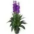 Cymbidium Orchid Artificial Plant in Pot - Purple