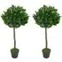 Design Bay Topiary Ball Artificial Tree 2 Pack - Green