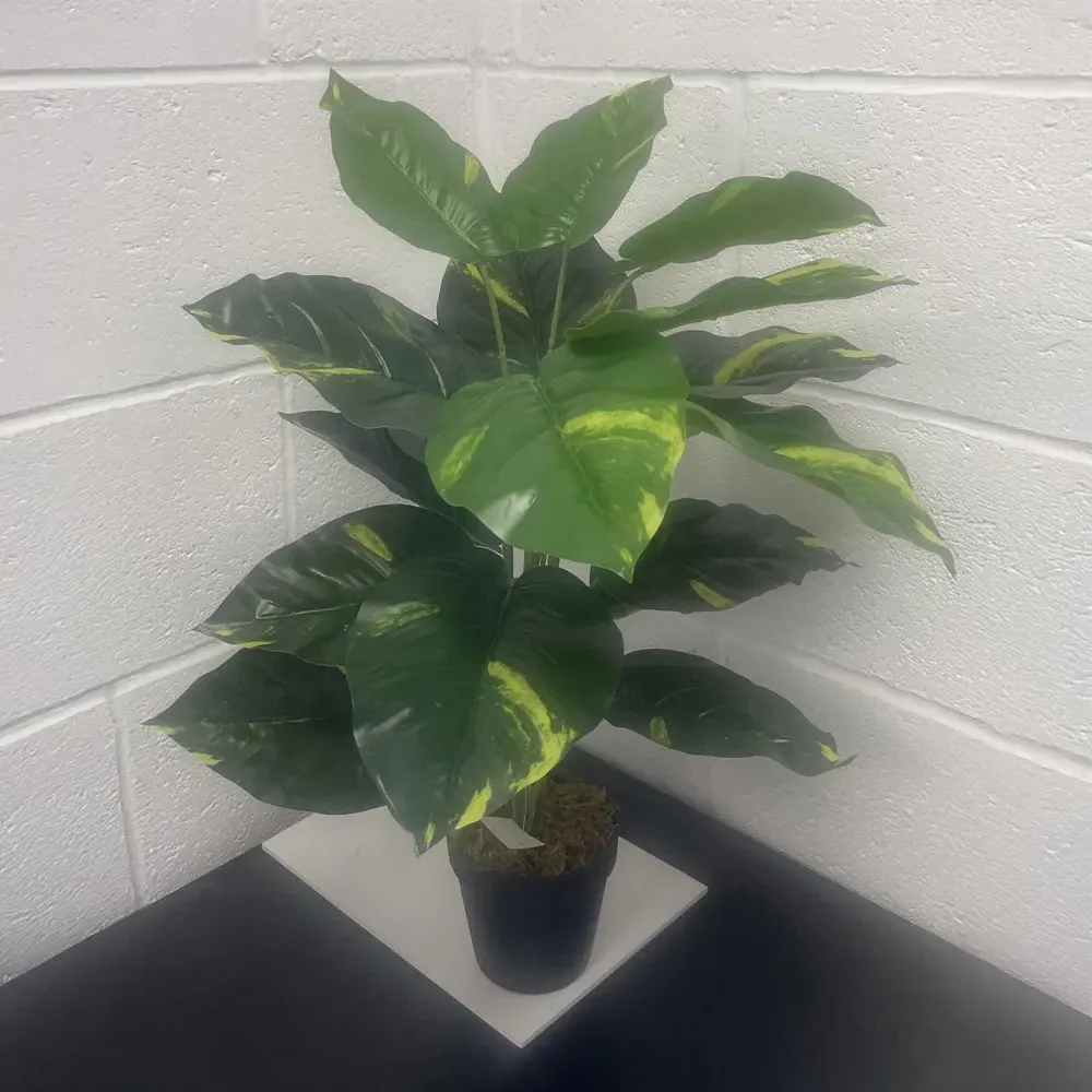 Devil's Ivy Artificial Plant in Pot - Green