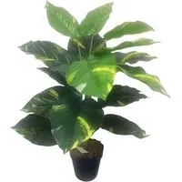 Devil's Ivy Artificial Plant in Pot - Green