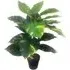 Devil's Ivy Artificial Plant in Pot - Green