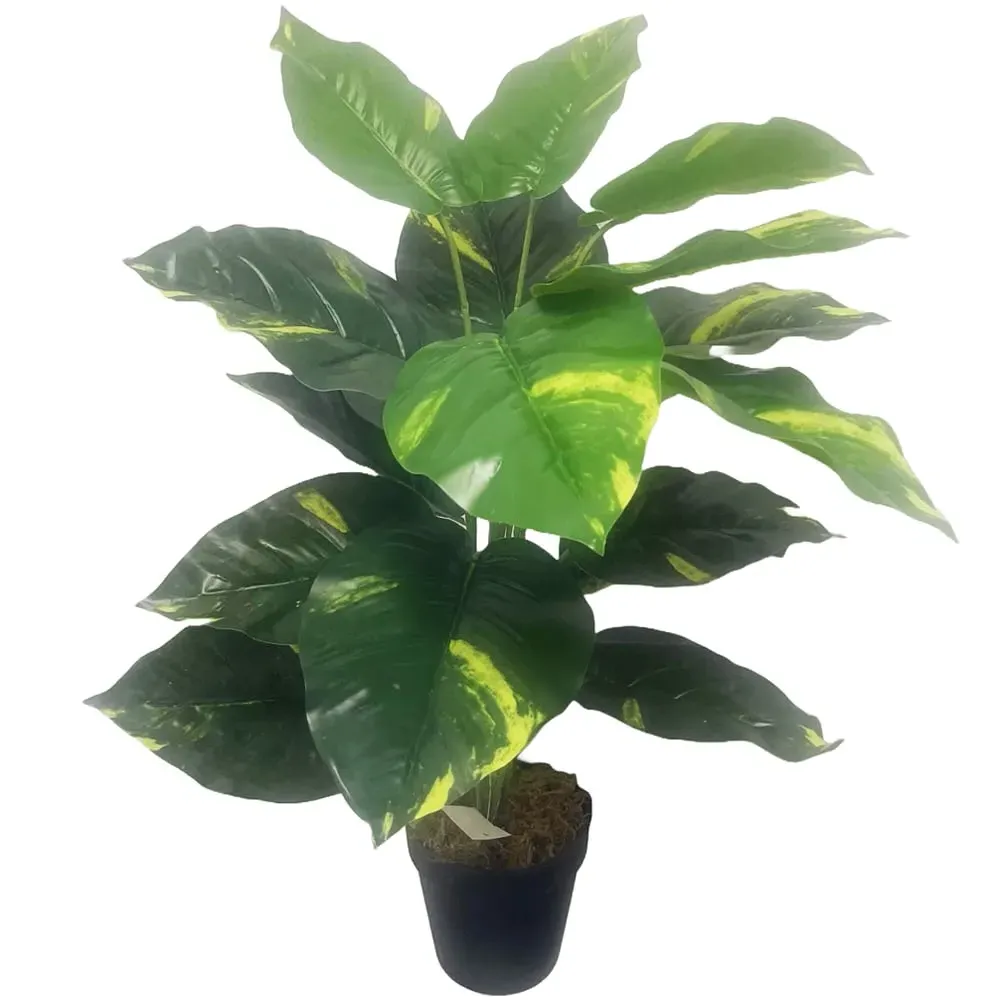 Devil's Ivy Artificial Plant in Pot - Green image