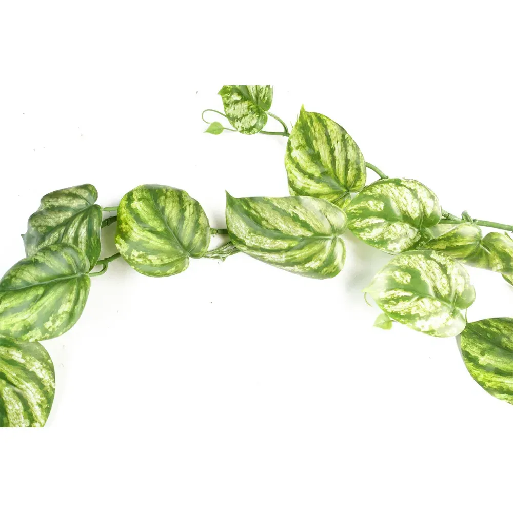 Devil's Ivy Hanging Artificial Plant 6 Pack - Green