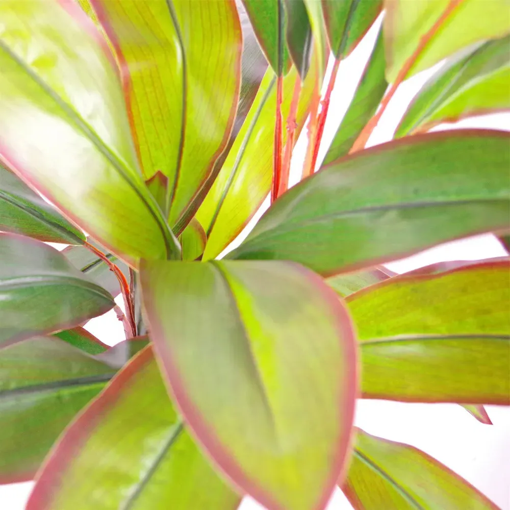 Dracaena Artificial Plant in Pot 100cm - Green