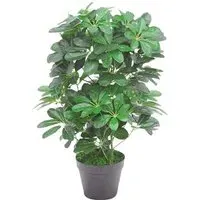 Dwarf Umbrella Tree Artificial Plant in Pot 55cm - Green