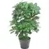 Dwarf Umbrella Tree Artificial Plant in Pot 55cm - Green