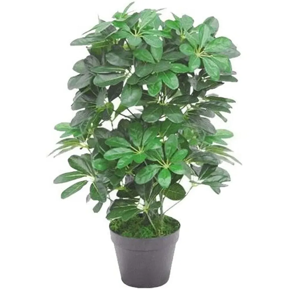 Dwarf Umbrella Tree Artificial Plant in Pot 55cm - Green