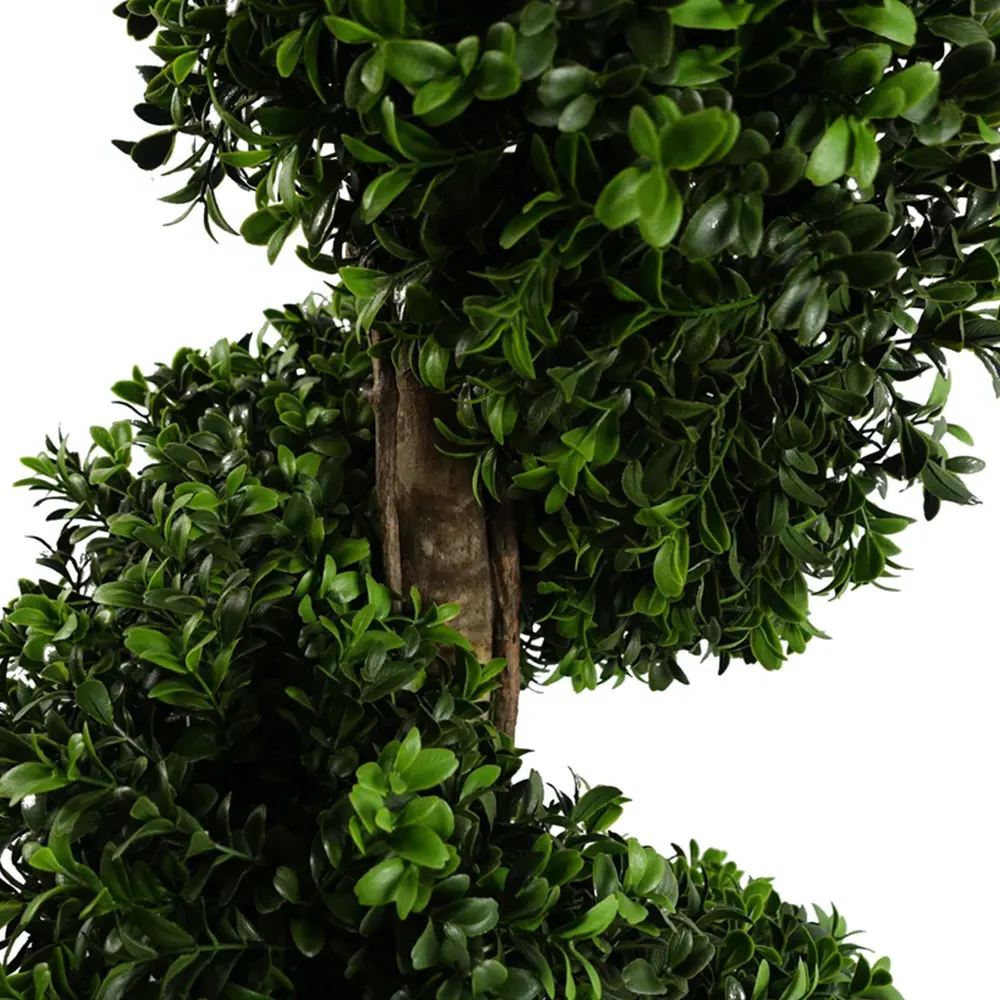 Extra Large Spiral Buxus Topiary Tree - Green