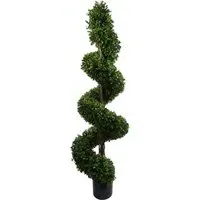 Extra Large Spiral Buxus Topiary Tree - Green
