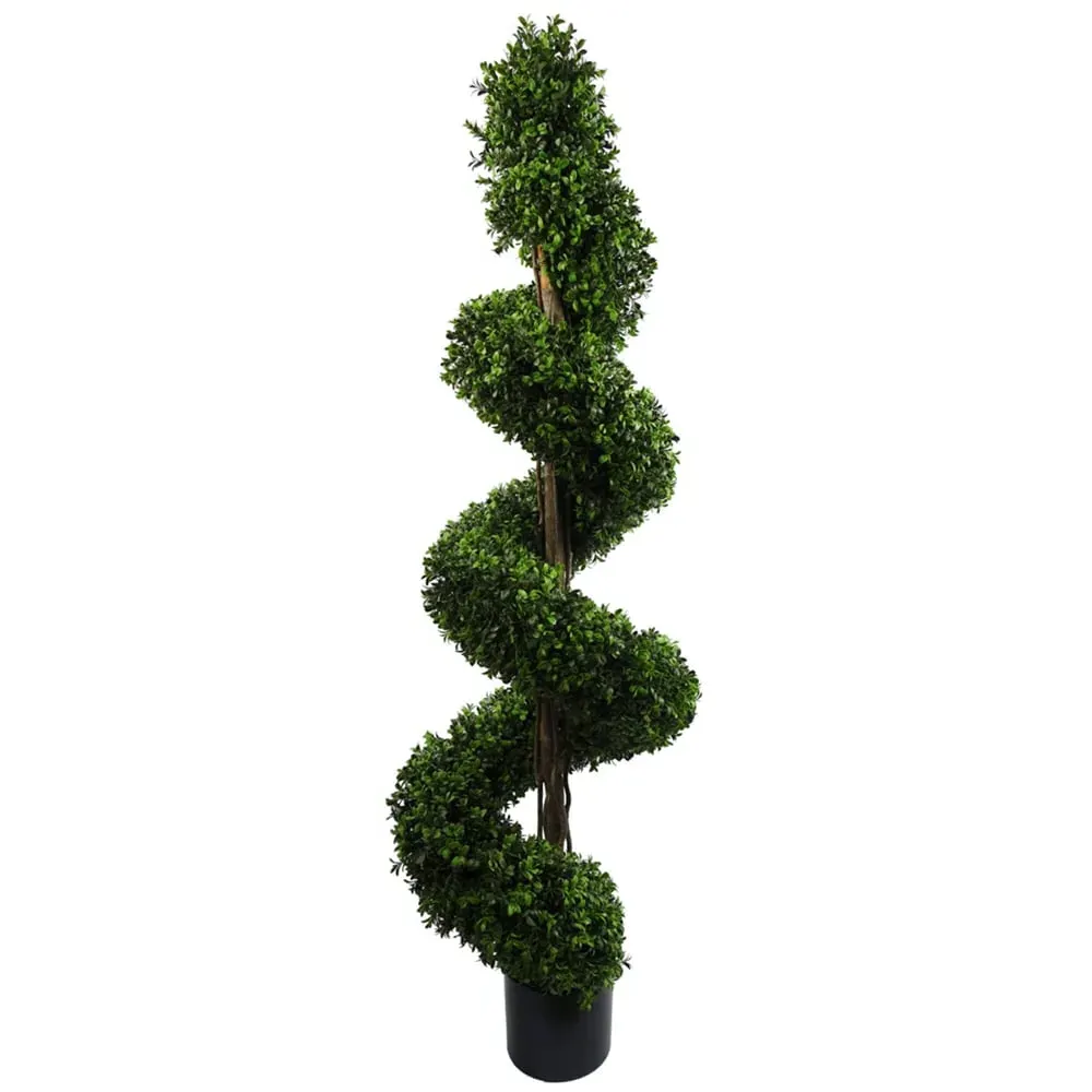 Extra Large Spiral Buxus Topiary Tree - Green