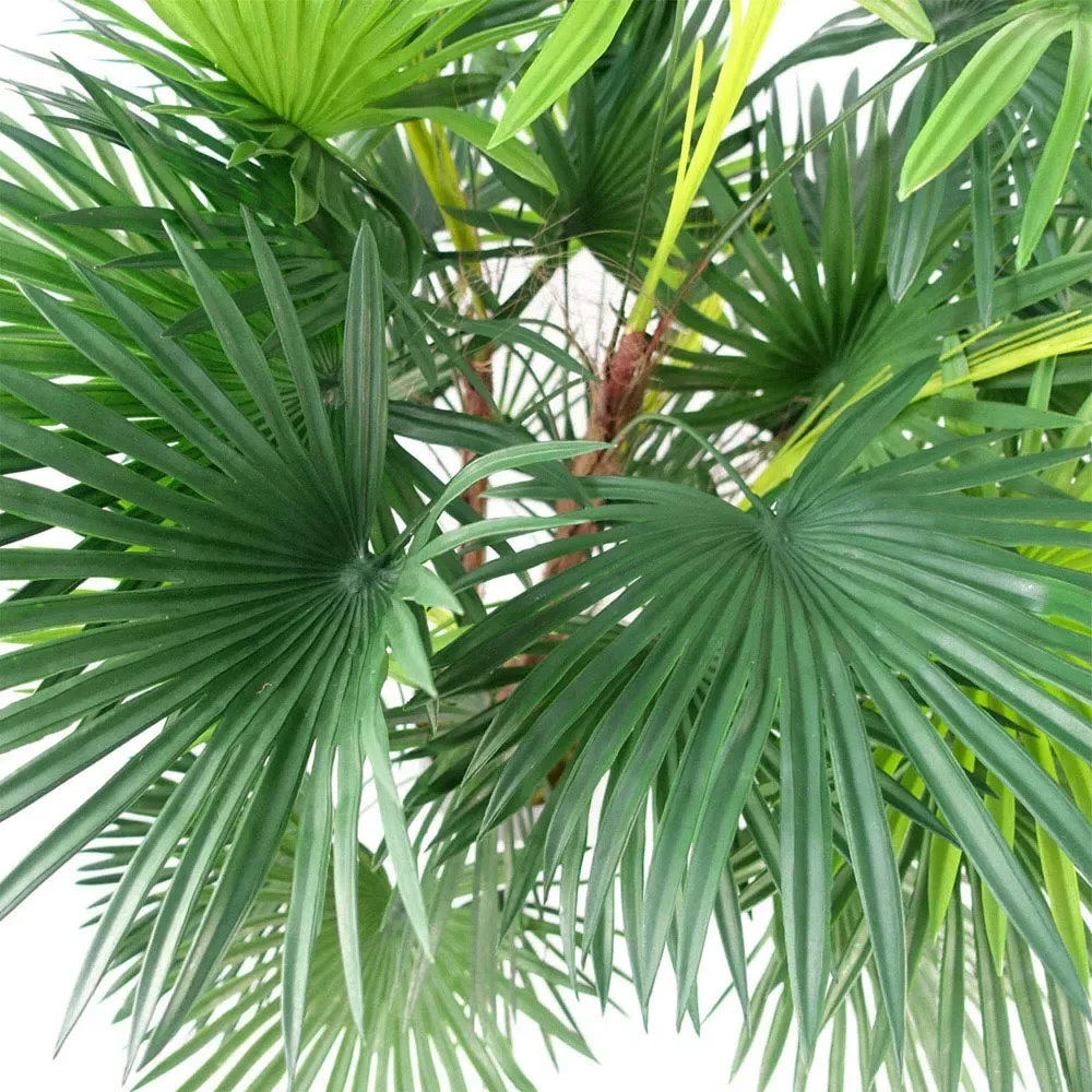 Fan Palm Artificial Tree 90cm - Green