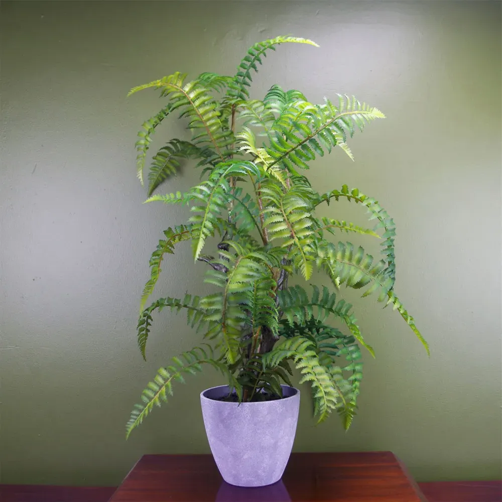 Fern Artificial Plant in Planter 70cm - Green