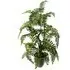 Fern Artificial Plant in Planter 70cm - Green