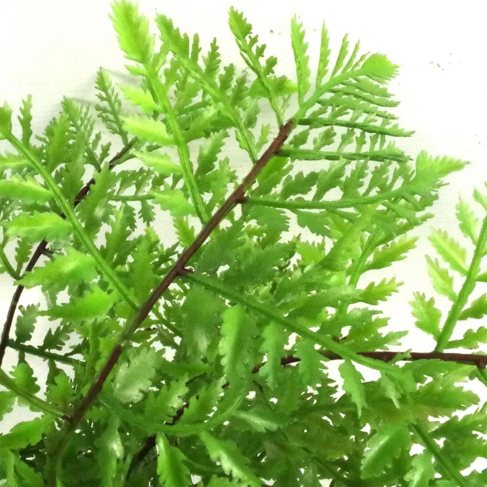 Fern Artificial Plant in Pot 30cm 3 Pack - Green