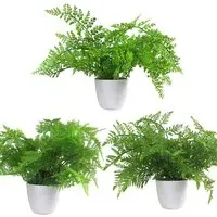 Fern Artificial Plant in Pot 30cm 3 Pack - Green